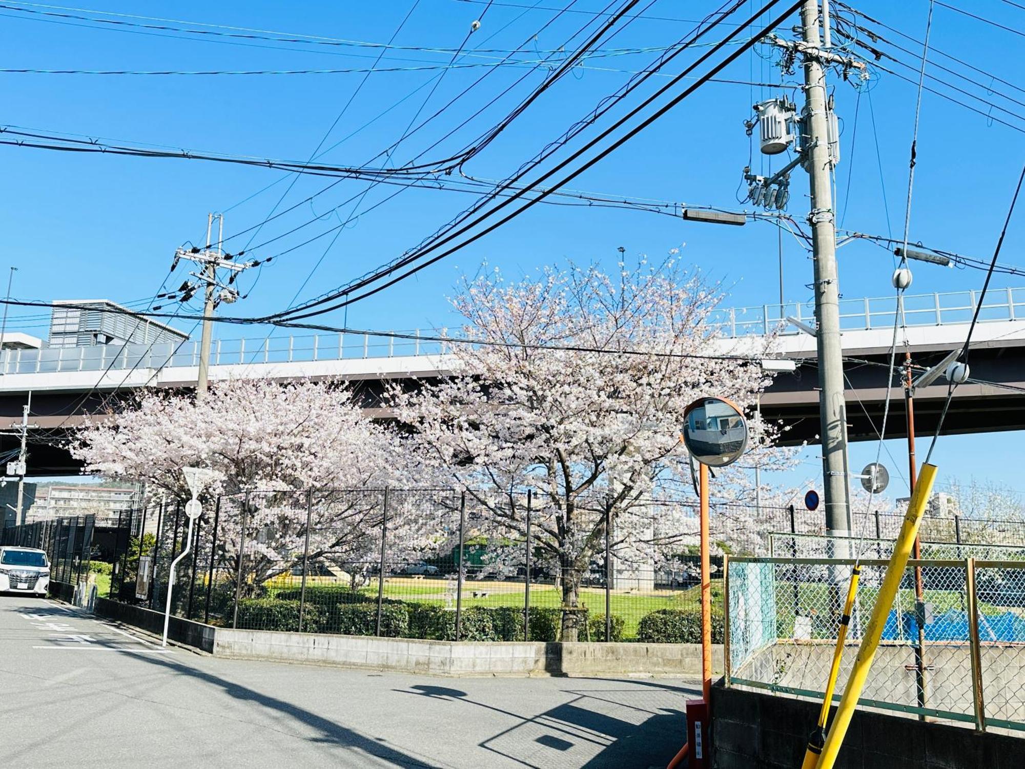 - ki no 宿 ut - 新築 戸建て 最大 7 a まで 宿泊 可能 Tora 街 駅 まで 徒歩 10 分 Киото Экстерьер фото